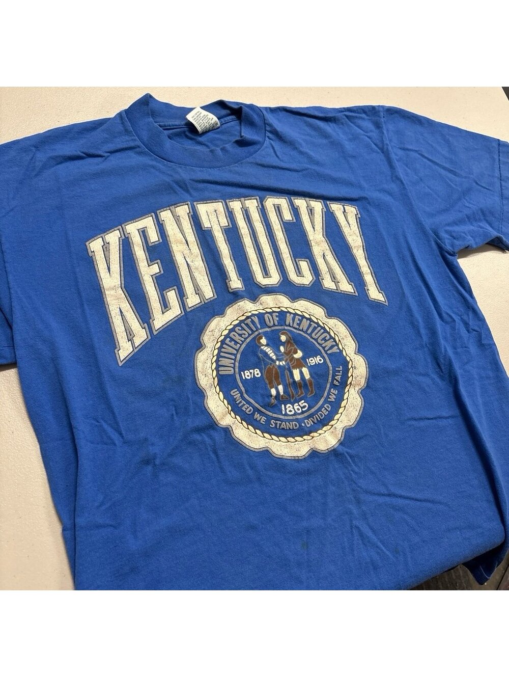 Vintage Kentucky Wildcats T-Shirt Mens XL Blue University Seal Galt Sand USA
